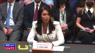 Tulsi Gabbard: Opening Statement at the Subcommittee on Weaponization of the Federal Government- February 9, 2023