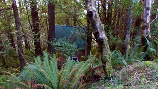 Hidden Cabin in the woods: