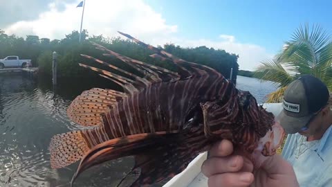 2 Day Florida Fishing Catch & Cook - Lobster, Lionfish & Snapper Spearfishing Trip