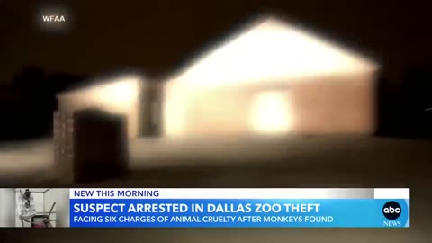 Dallas police arrest man in connection with those kidnapped monkeys - GMA