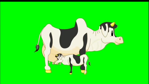 Animation cow greenscreen HD