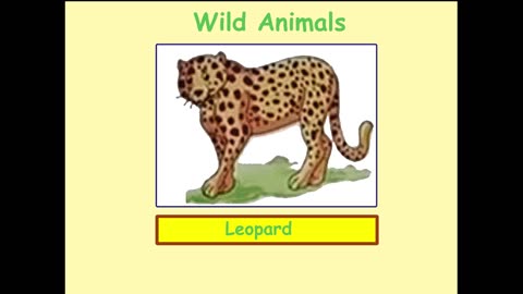 LKG EVS – WILD ANIMALS