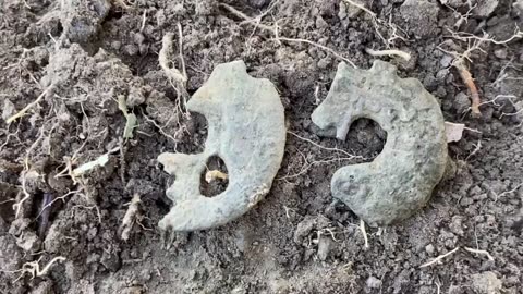 Amazing Ancient Coins Metal Detecting