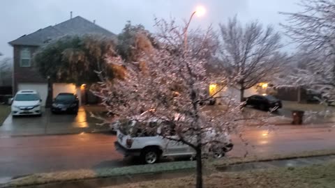 Front Yard Ice Storm 1st Feb 2023