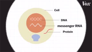 BREAKING Alex Was Right Gene Altering Vaccines Are Here