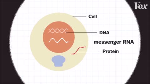 BREAKING Alex Was Right Gene Altering Vaccines Are Here