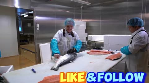 Working Team In A Seafood Processing Factory