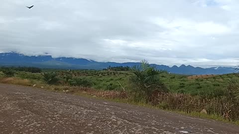 View Mountain in Pasaman Marama Sejahtera POM
