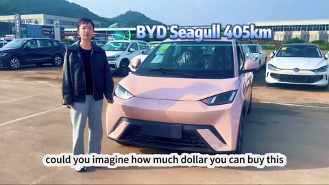 Fly like a Seagull: Explore the BYD Seagull for an Unforgettable Ride