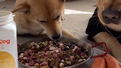 Small wood is the can and mark in three full bowl to eat