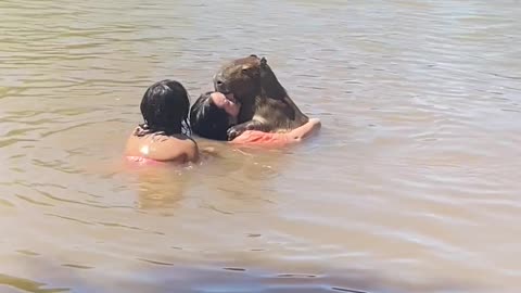 Swimming With A Surprise Friend