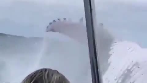 Footage of a humpback whale breaching