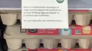 FAKE EGG SHORTAGE BS AT WHOLE FOODS