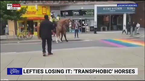 'Transphobic horses' spooked by rainbow crossing