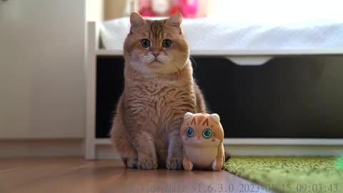 Mini Hosico Cuddle Plush