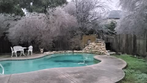 1st of Feb 2023 Back Yard Ice Storm Footage