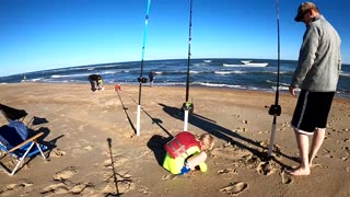 7 Day Fishing & Adventure: Saltwater Multi Species Fishing Outer Banks NC