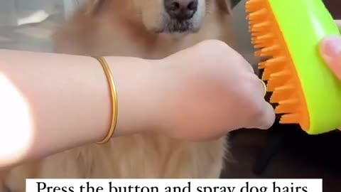 NEW BRUSH ARRIVED. WHAT DO YOU THINK . #funny #explore #dogs #pets #doglover #doggo #LUXY_PETS