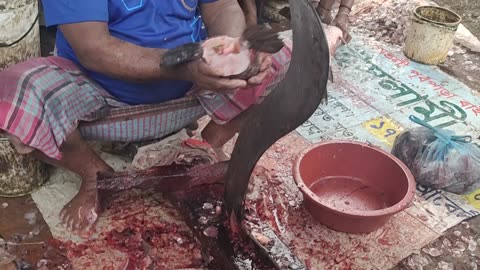 Big Gojar Fish Fast Cutting By Fast Fish Cutter In Fish Market
