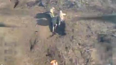 Destruction of ukrainian infantry using a kamikaze drone | Ukraine 2024