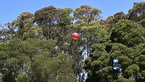 Drones Chase Air Balloon