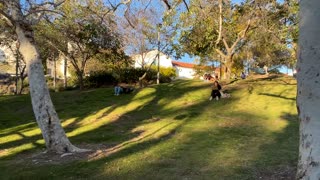 San Diego State University Evening Walk