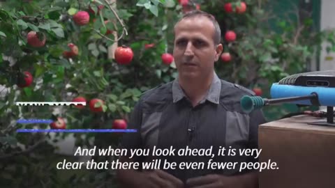 Drones Are Picking Apples In Israel~Drone Is Able To Feel The Ripeness Of The Apples Their Sugar Content And Rather They Have Any Diseases Or Worms