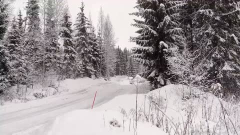 Esapekka Lappi Rally Sweden 2022 test Toyota GR Yaris Rally1