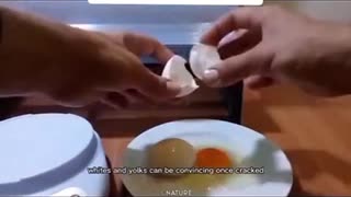 Fake eggs ?!🥚