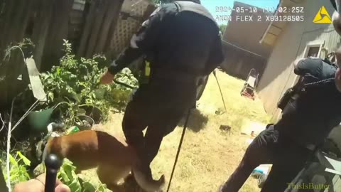 Body cam footage shows Ceres police shoot knife-wielding suspect who attacked officer