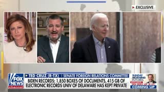 Sen. Ted Cruz on a specific email Hunter Biden sent