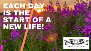 Each Day Is The Start Of A New Life!