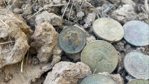 Coins Of The Field & The Hunt For History
