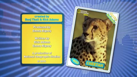 Cheetah Fun Facts