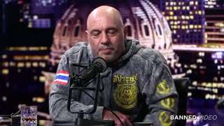 Joe Rogan & Alex Jones - The 2nd Amendment