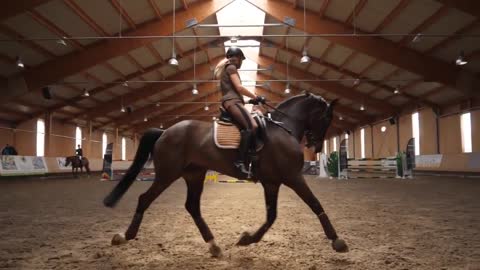 Leave a Light On - Equestrian Music Video