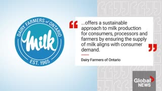 Ontario dairy farmer sparks controversy with video showing raw milk being poured down the drain