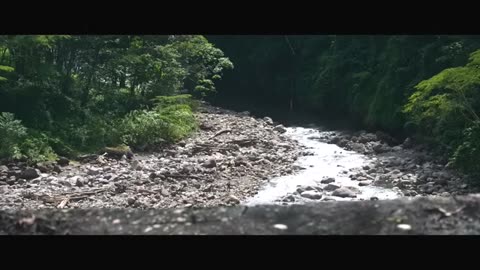 AFTER EARTH Clip - "Defending the Nest