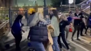 Dodger Fan Fight