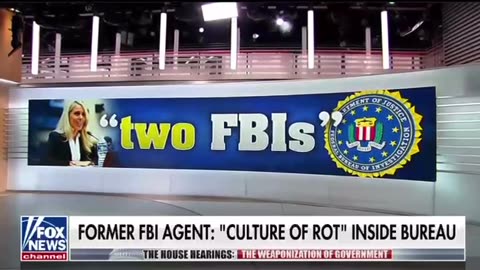 Former FBI Agent testifies there is a “culture of rot” inside the bureau