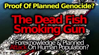 Whales Dying In Huge Numbers: Smoking Gun Of Food Supply Attack Genocide?! Govt Caught Poisoning!