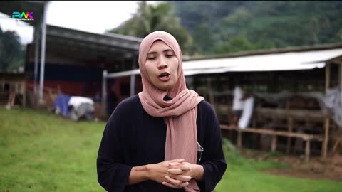 Success story of a beautiful girl to become a sheep farmer