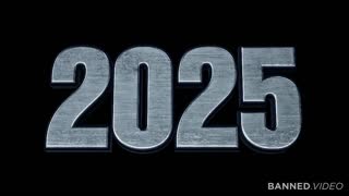 What Happened in 2025? - A Governmental Report