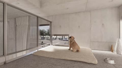 Welcome to Kennels | Atelier GOM