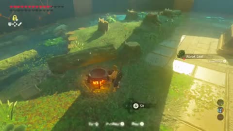 BEST STRATEGY for Trial of the Sword Guide Breath of the Wild DLC Pack 1