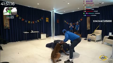 Kai Cenat gets attacked By K9 police dogs