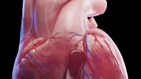 Heart 3D animation ,Medical video #3Dmedico