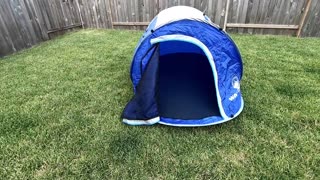 Wakeman Outdoors 2 person Pop up Tent Quick Review DIY Roof Top Tent Part 1The Real Life