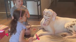 Girls Play Dress Up With Patient Dogs