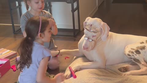 Girls Play Dress Up With Patient Dogs